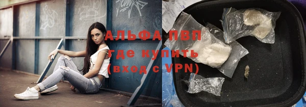 индика Аркадак