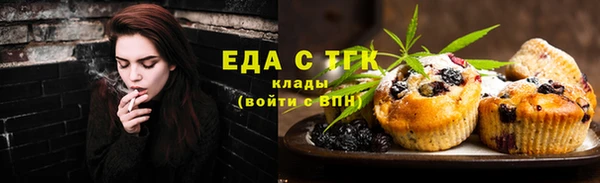 индика Аркадак