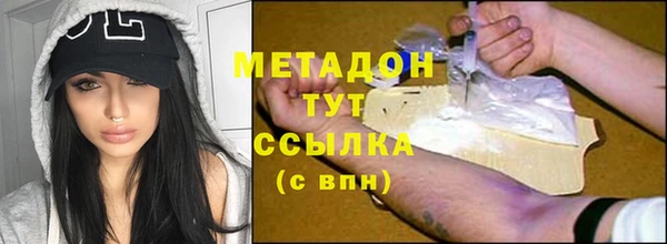 индика Аркадак