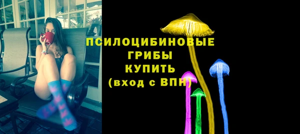 spice Армянск