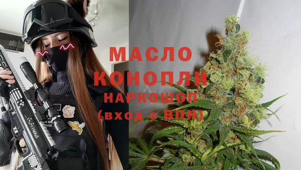 индика Аркадак