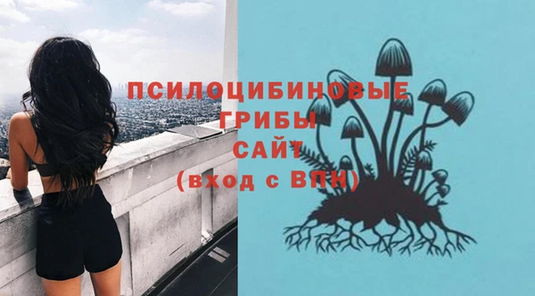 индика Аркадак